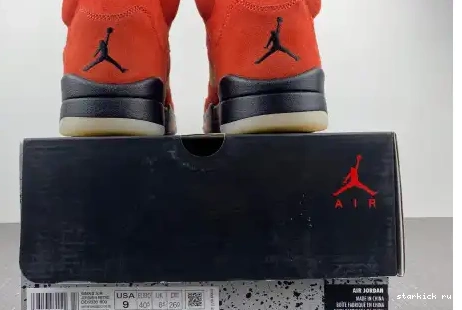 Mars 5 Retro DD9336-800 Jordan DD9336-800 on Dunk 0421